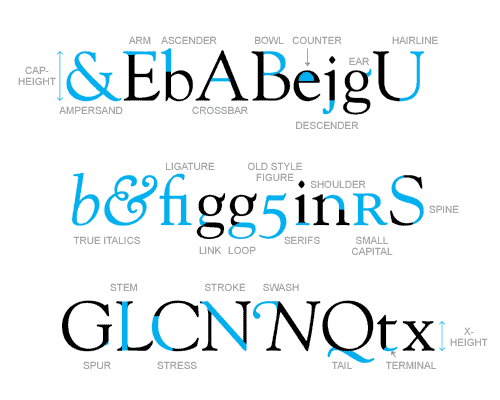 anatomy of a typeface